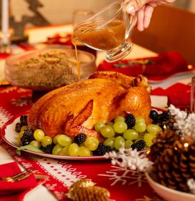 Chester® Assa Fácil